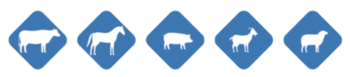 slider-img