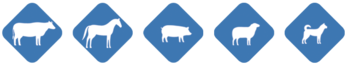 slider-img